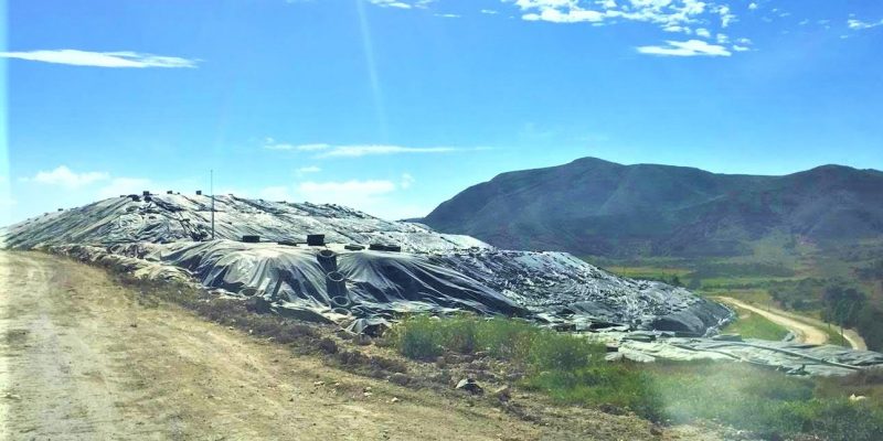 Nuevo Mondonedo sera habilitado para vender bonos de carbono