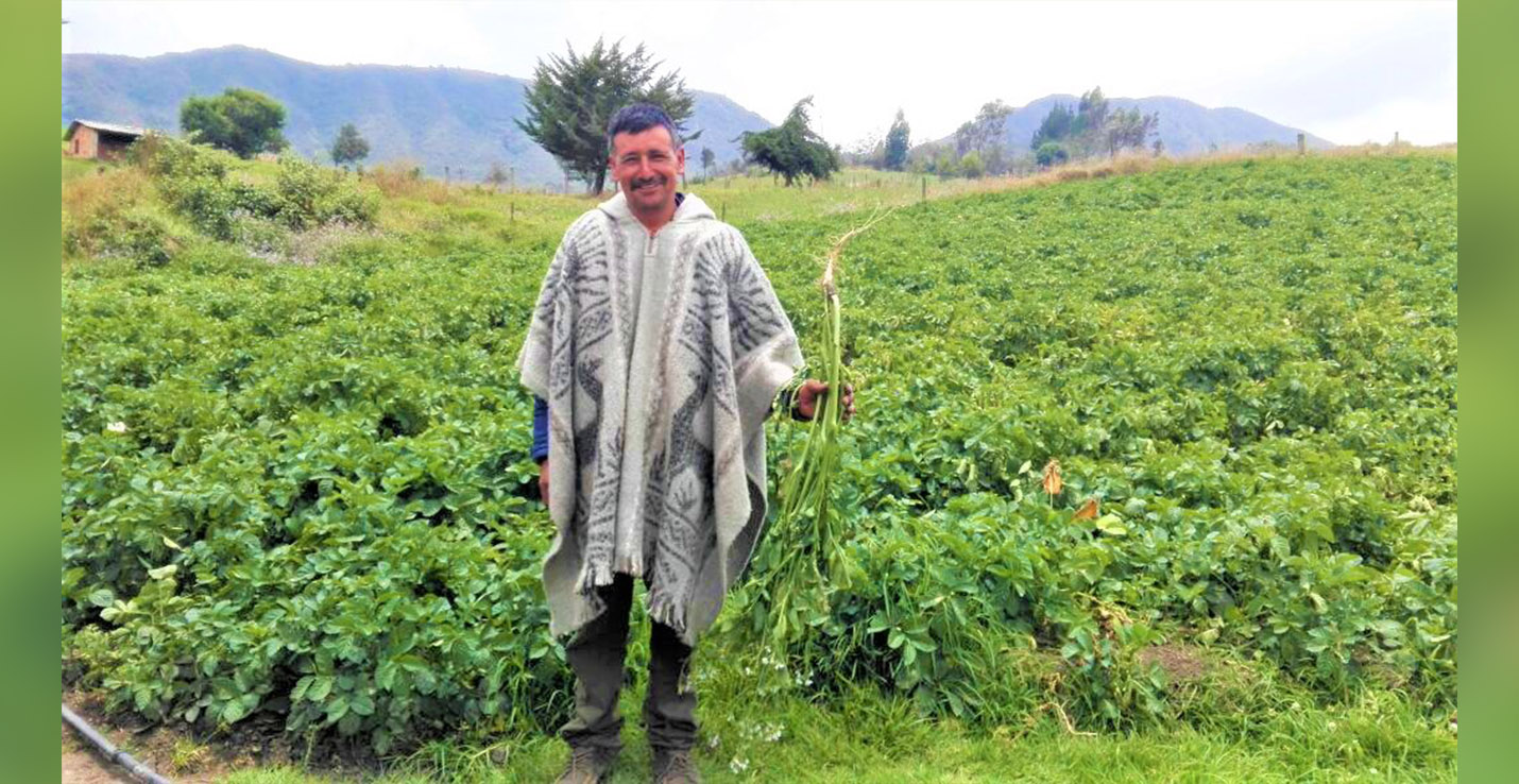 don pedro