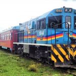 tren de la sabana