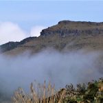 Cambio climatico una apuesta por un ambiente sostenible en Cundinamarca1