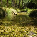 Yo protejo agua para todos la estrategia para conservar el recurso hidrico