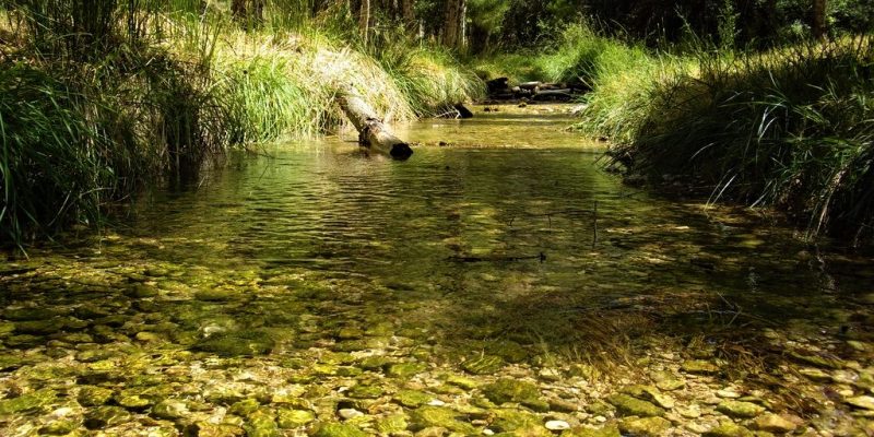 Yo protejo agua para todos la estrategia para conservar el recurso hidrico