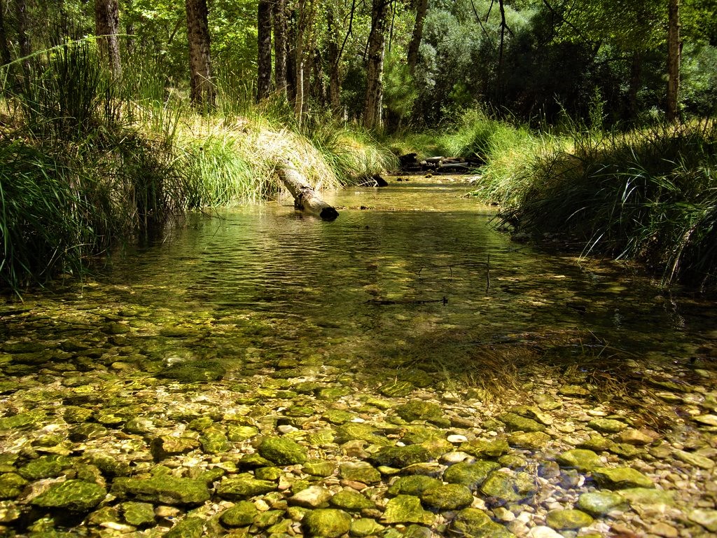Yo protejo agua para todos la estrategia para conservar el recurso hidrico