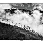 pais fernando cano premio fotografia opt