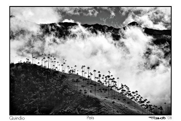pais fernando cano premio fotografia opt