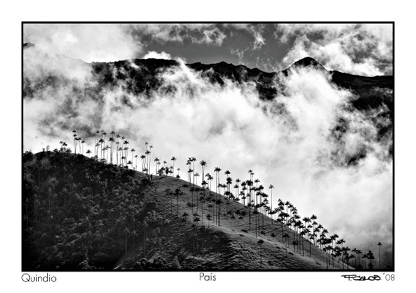 pais fernando cano premio fotografia opt