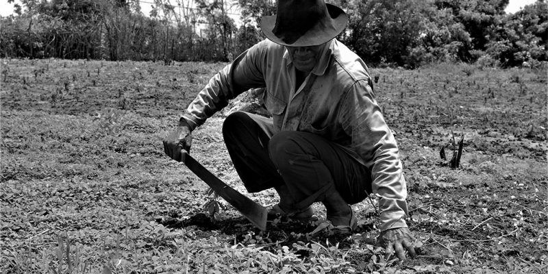 Adulto mayor que fue víctima de las FARC y las AUC recupera su tierra en La Palma