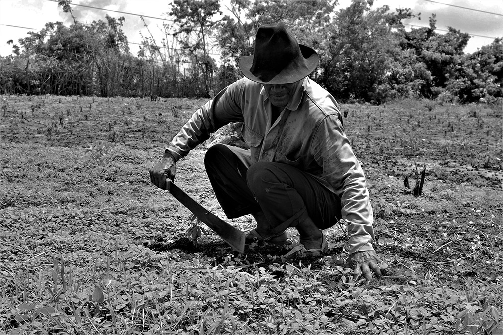 Adulto mayor que fue víctima de las FARC y las AUC recupera su tierra en La Palma