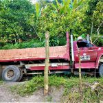 Cuando pasa un camion con ladrillo