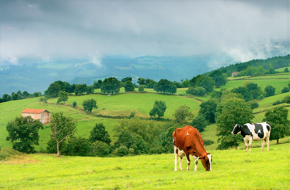 Decreto de minifundios da sus primeros frutos en Cundinamarca y Boyaca