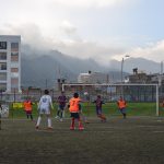 pequenos tigres