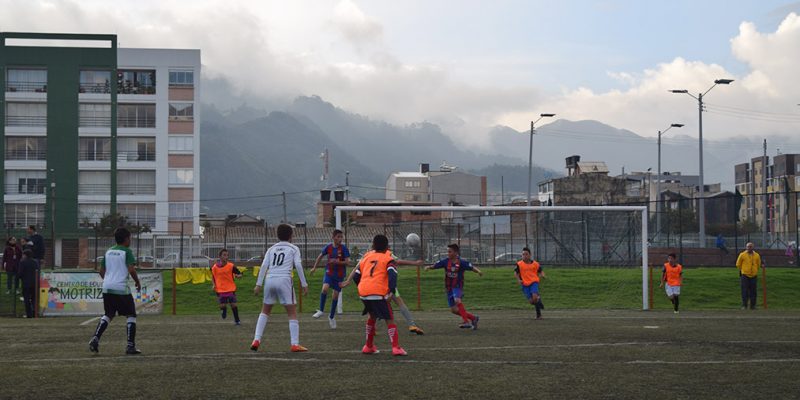 pequenos tigres