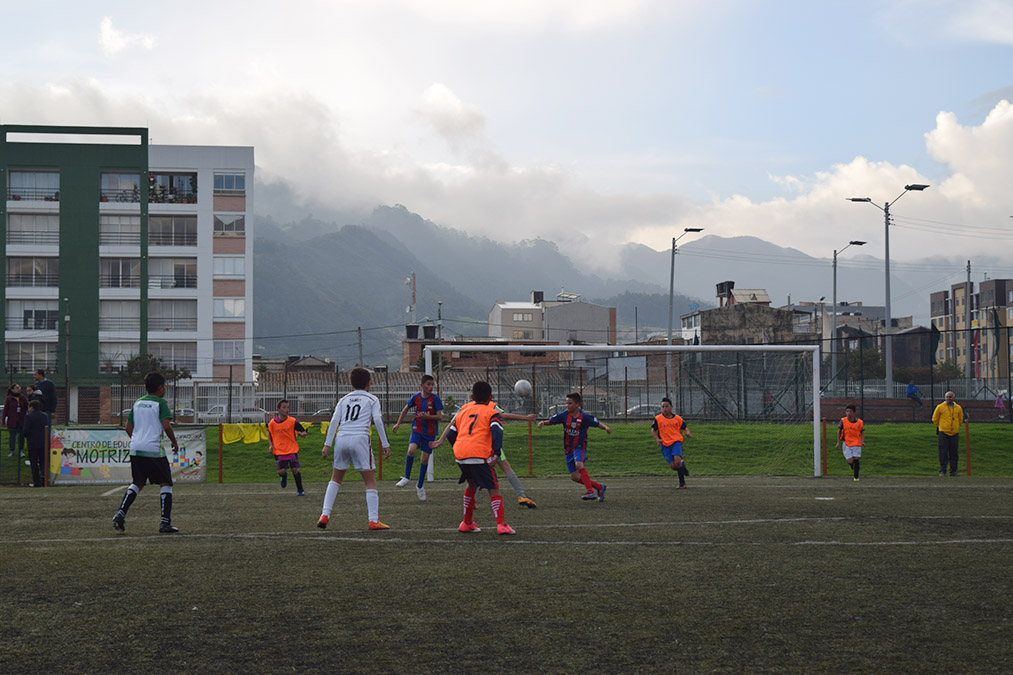 pequenos tigres