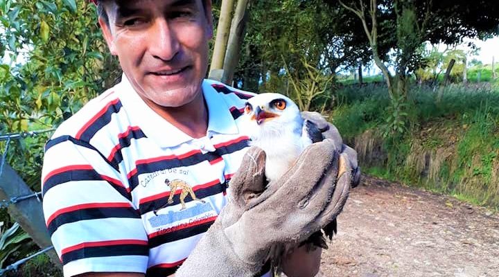 Cuper y el Aguila