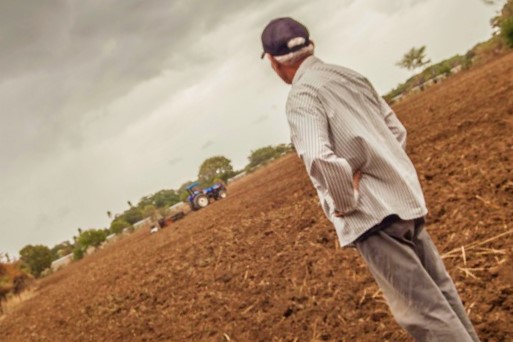 campo oaxaca istmo