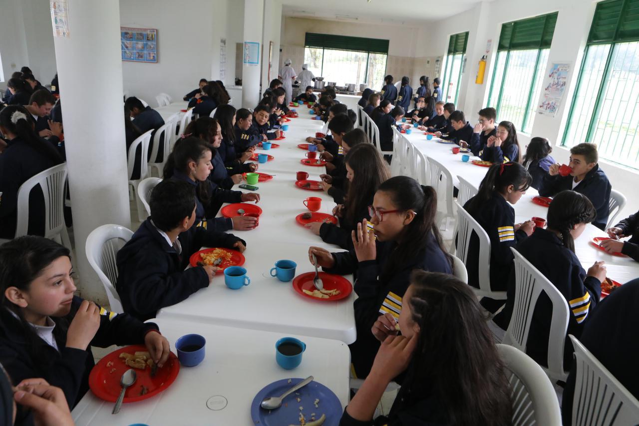 pae cundinamarca
