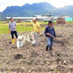 Sopo inicio la implementacion del Banco de Forraje Organico1