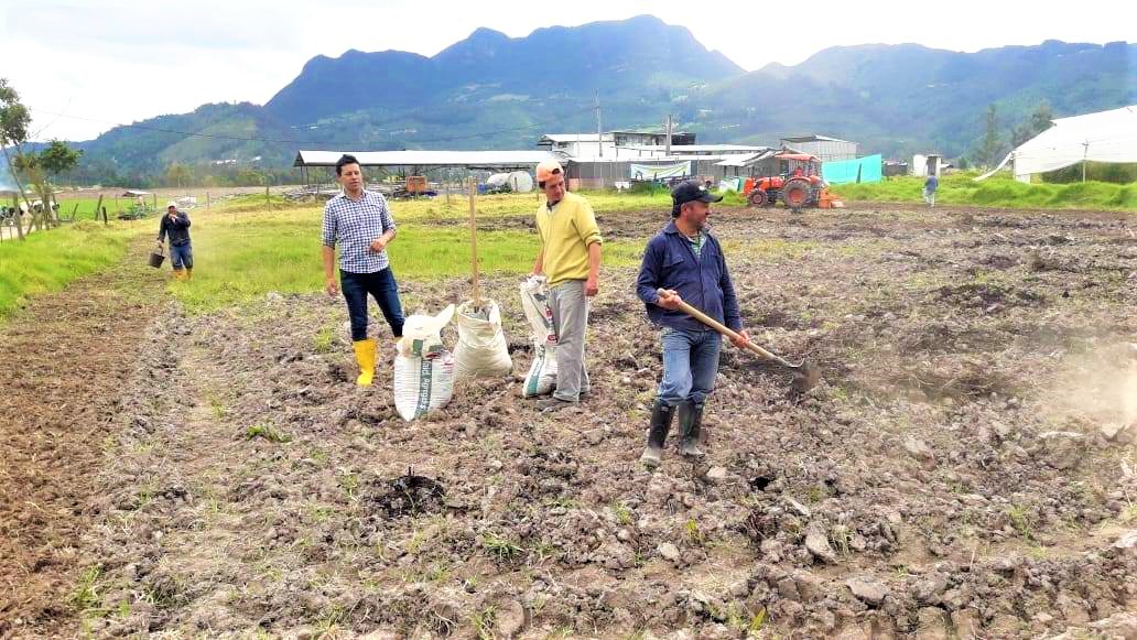 Sopo inicio la implementacion del Banco de Forraje Organico1