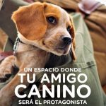 feria canina unos