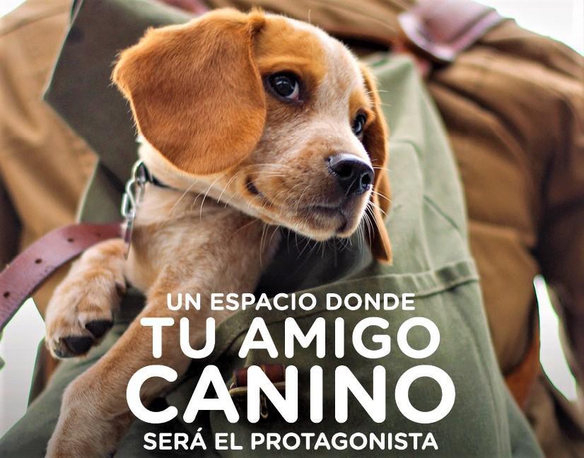 feria canina unos