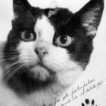 55 anos del viaje de Felicette