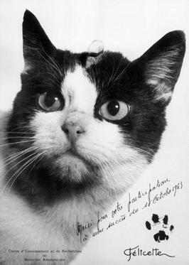 55 anos del viaje de Felicette