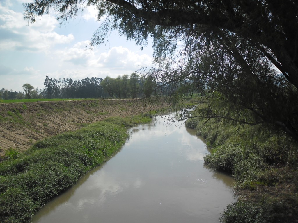 46 municipios pertenecientes a la cuenta del Rio Bogota recibiran 25
