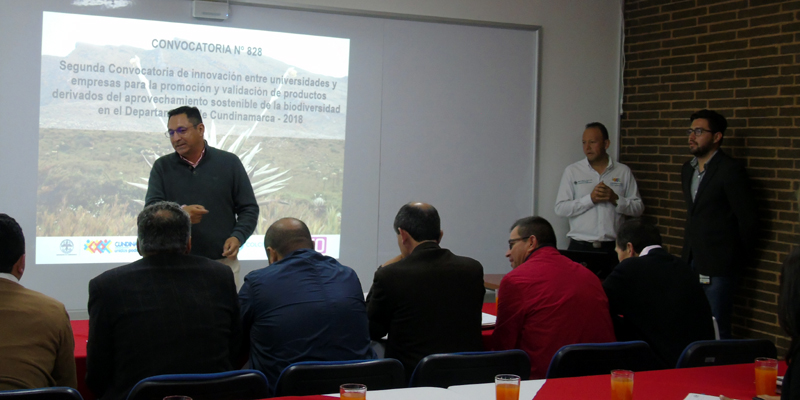 II convocatoria de proyectos de Innovacion y Desarrollo ID