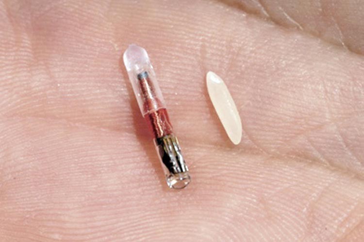 Microchips la nueva tendencia en tecnologica