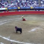 Bajo protestas y desacuerdos se realizara feria taurina en Medellin