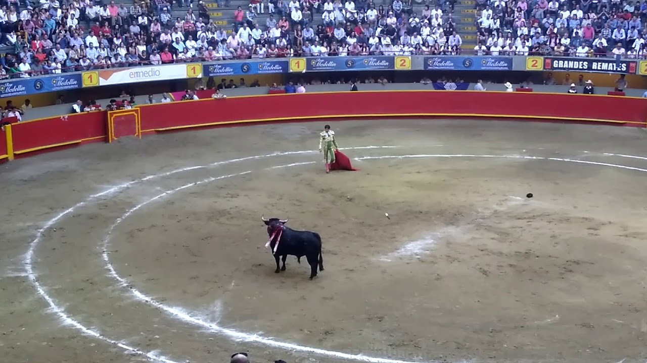 Bajo protestas y desacuerdos se realizara feria taurina en Medellin