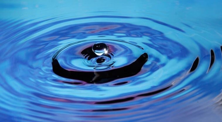 Agua Vida y Saber