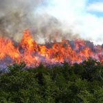 Alerta Roja