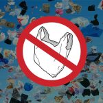 Chile es el primer pais en Latinoamerica en prohibir las bolsas plasticas 1