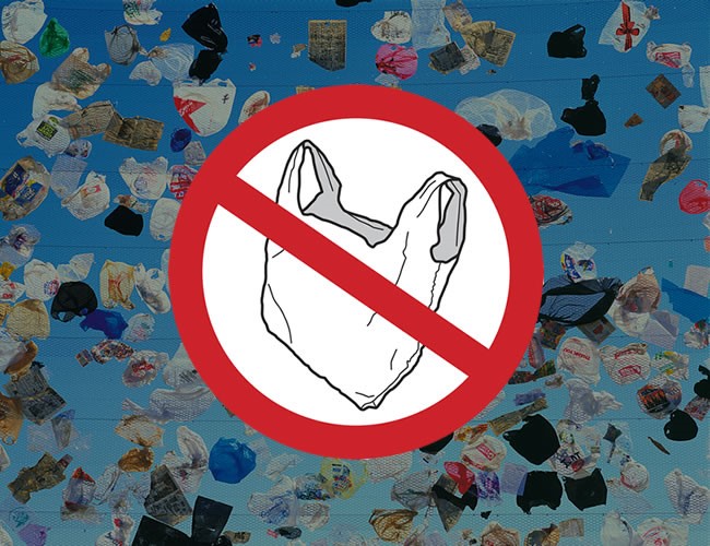 Chile es el primer pais en Latinoamerica en prohibir las bolsas plasticas 1