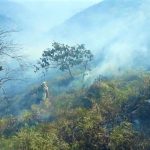 Ejercito y Ponalsar atienden incendio forestal en Quetame 1