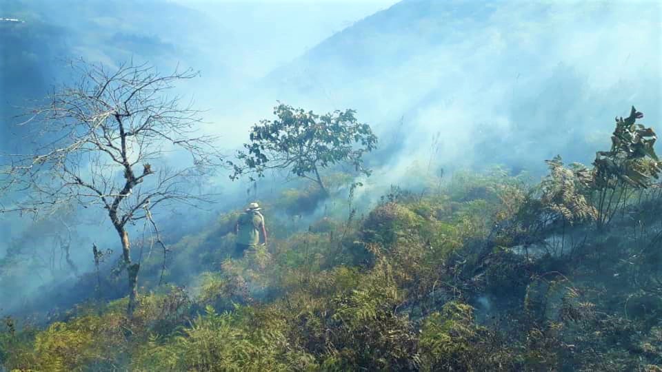 Ejercito y Ponalsar atienden incendio forestal en Quetame 1