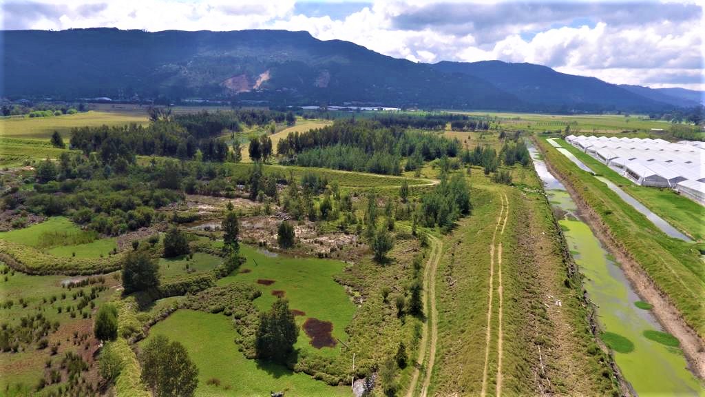 El proximo domingo inicia oficialmente la construccion de la Troncal de Los Andes1