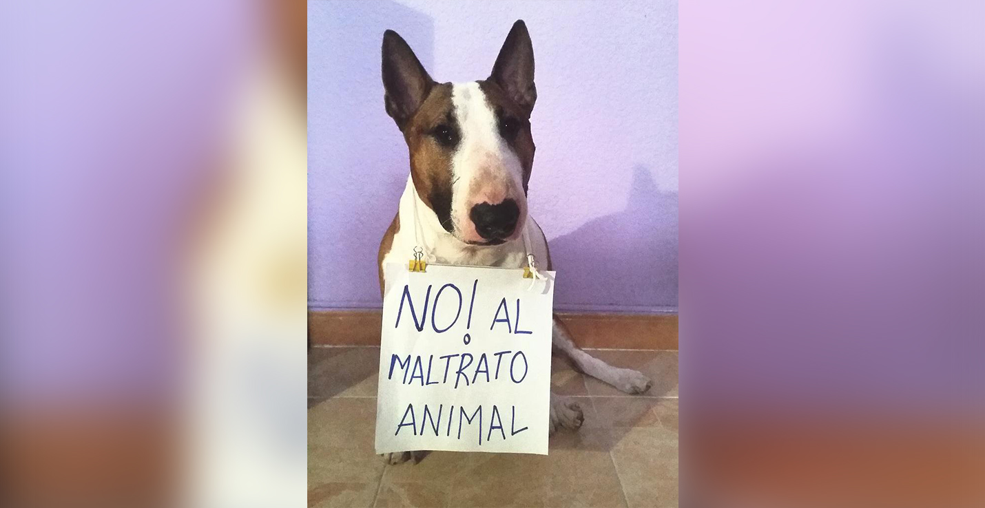 No al matrato Animall