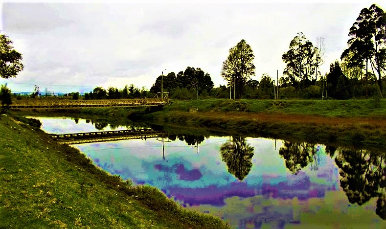 rio bogota