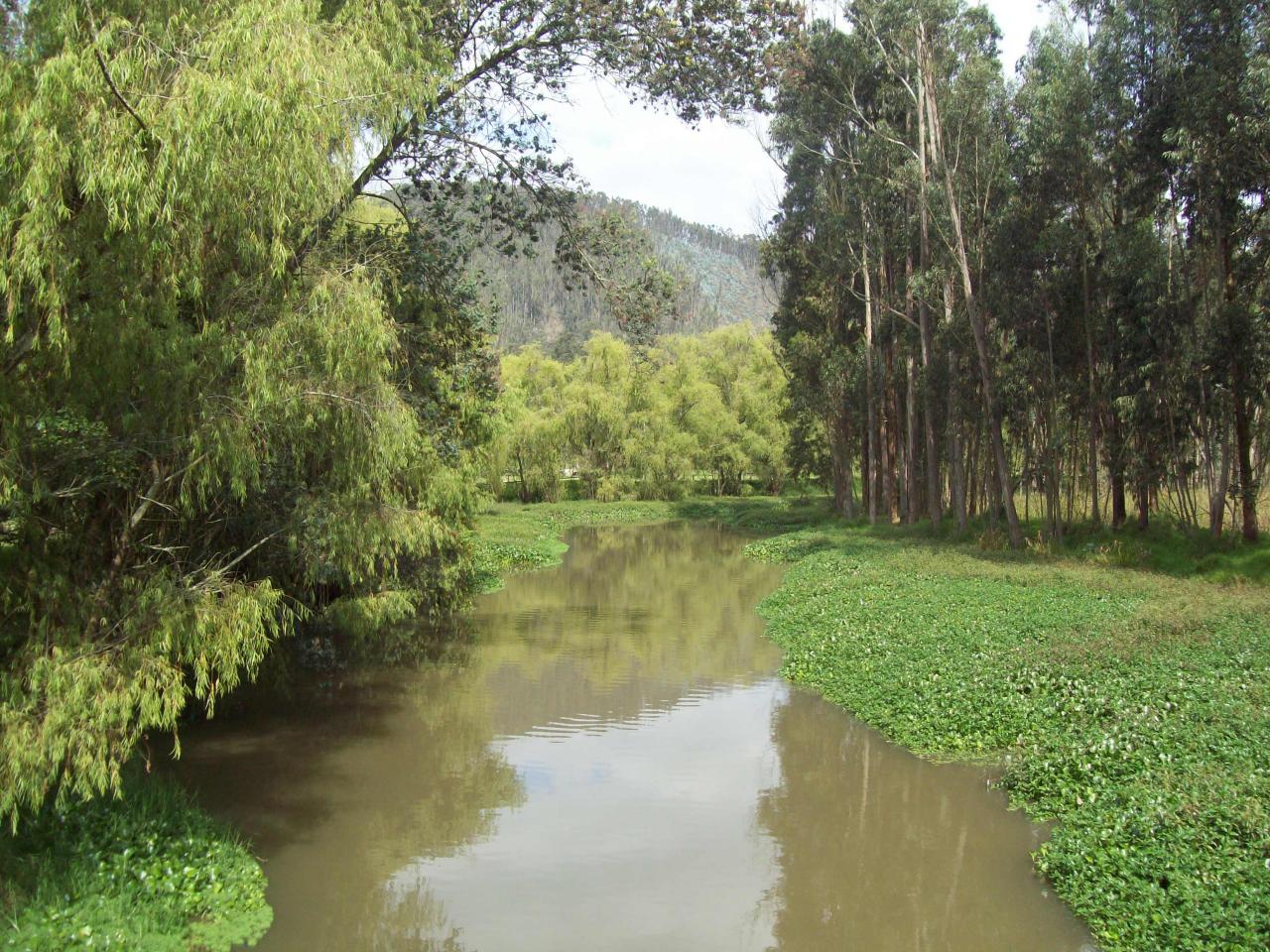 Rio Bogotta