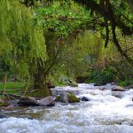 Vida para los rios de Cundinamarca