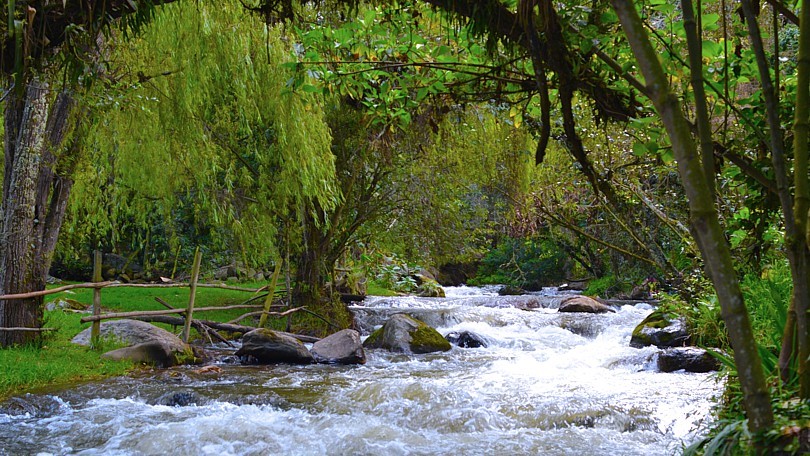 Vida para los rios de Cundinamarca