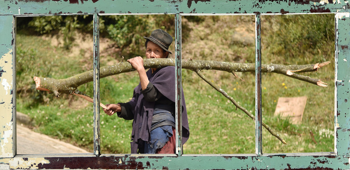 campo1