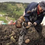 35 casas nuevas y gratis para campesinos se entregaran en Zipaquira2