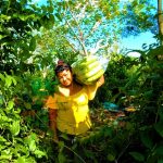 Campesinos de Cundinamarca venderan sus alimentos directamente en la Plaza de Kennedy