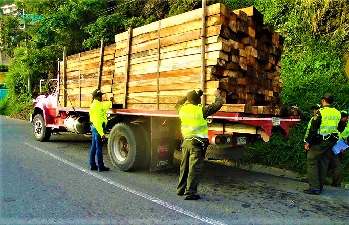 Desarticulada organizacion dedicada a la tala ilegal de arboles en Cundinamarca y Boyaca