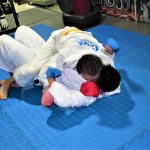 Dojo Fenix 2
