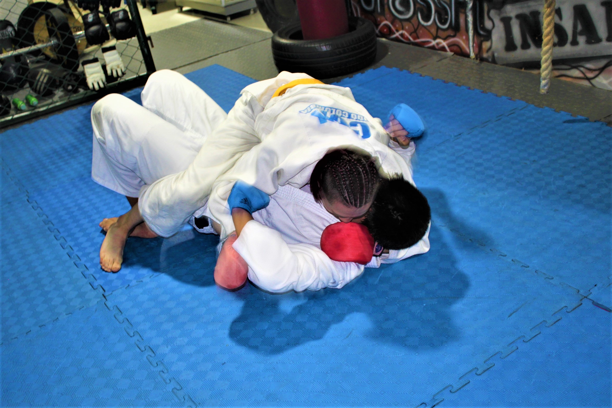 Dojo Fenix 2