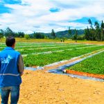 Gracias a la nueva PTAR de Susa la Laguna de Fuquene seguira recuperandose